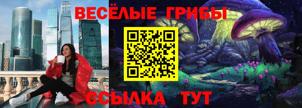 Псилоцибиновые грибы GOLDEN TEACHER Бердск
