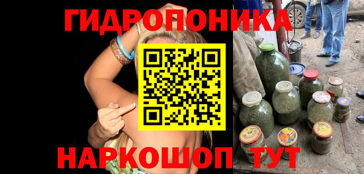 Бердск  Шишки марихуана конопля  Марихуана сатива  Вход с VPN 